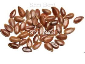 Flax Seed